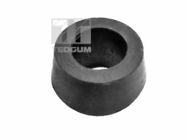tedgum 00504535