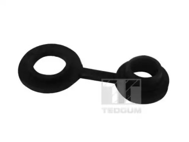 TEDGUM 00508172
