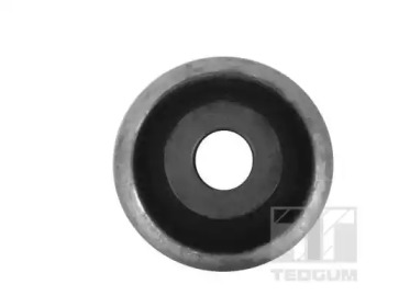 tedgum 00518660