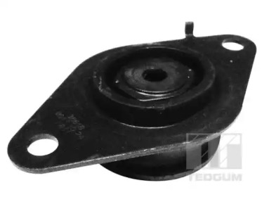tedgum 00585993