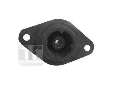 tedgum 00586236