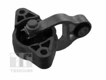 TEDGUM 00586310