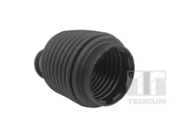TEDGUM 00588771