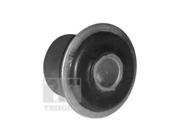 tedgum 00609242