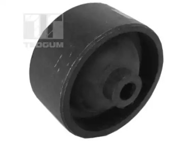 TEDGUM 00671395