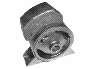 TEDGUM 00672562