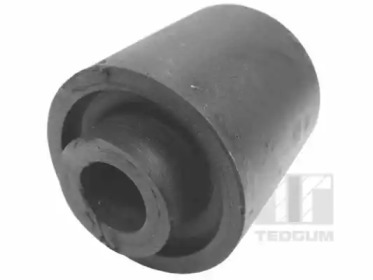TEDGUM 00673667