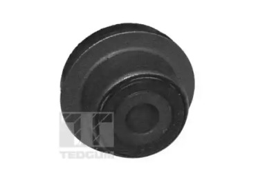 TEDGUM 00729615