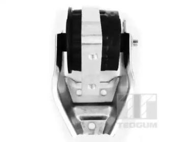 tedgum 01008480