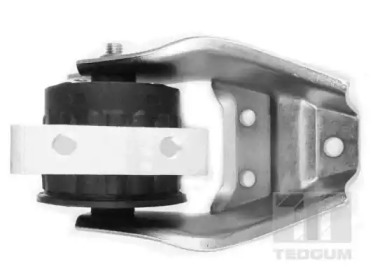 tedgum 01008480