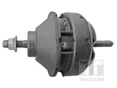 TEDGUM 01160775