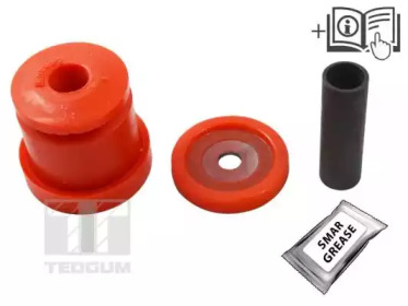 tedgum 01167575