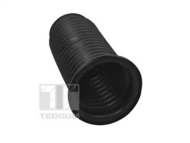 tedgum ted18569