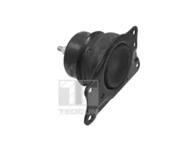 tedgum ted40385