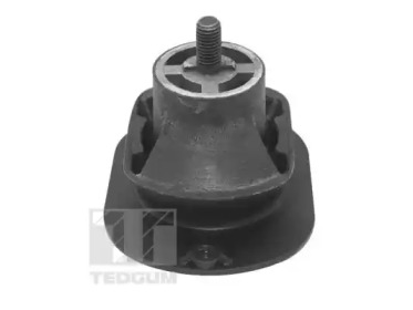 tedgum ted40521