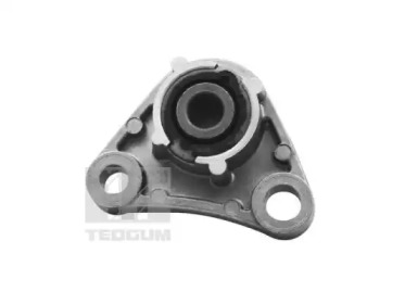 tedgum ted83260