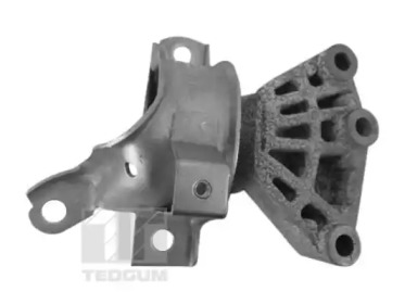 tedgum ted83397