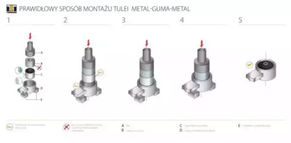 tedgum ted92211