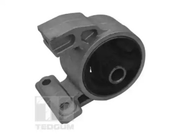 TEDGUM TED94977