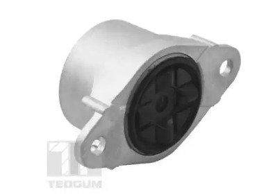 tedgum ted95297