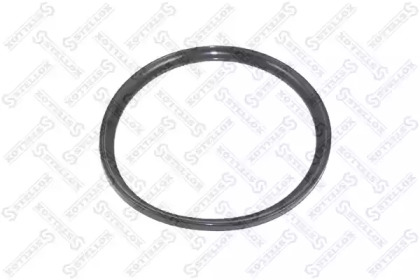 STELLOX 81-01024-SX