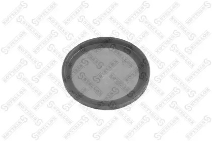 STELLOX 83-05001-SX