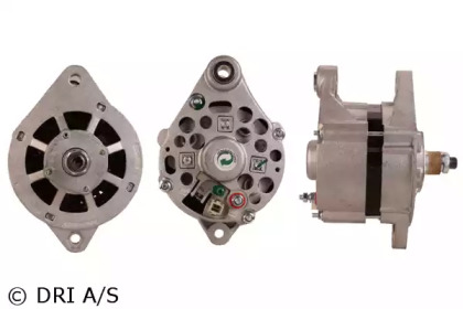 DRI 218011532