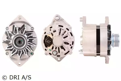 dri 218146902