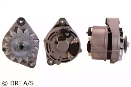 dri 215103652
