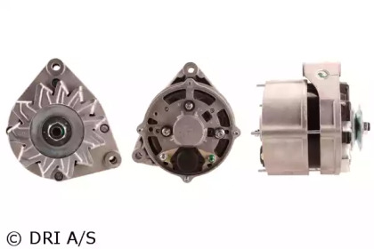 dri 225107552