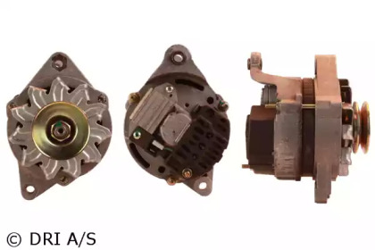 dri 218109552