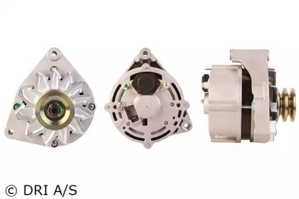 dri 238115552