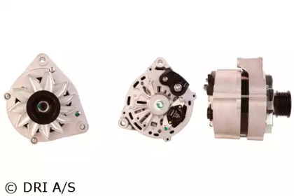 DRI 525121554
