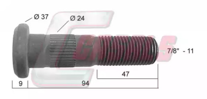 CASALS 21279