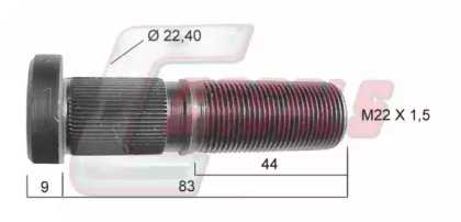 CASALS 21283