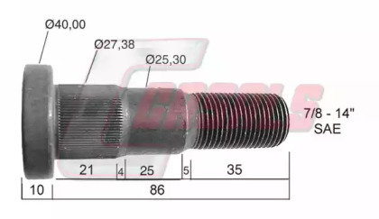 CASALS 21306