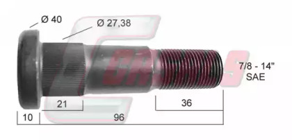 CASALS 21307