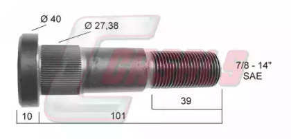 CASALS 21308