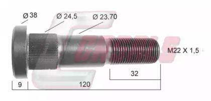 CASALS 21328