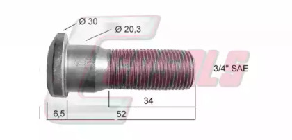 CASALS 21426