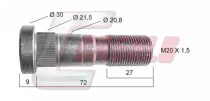CASALS 21431