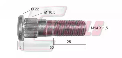 CASALS 21435