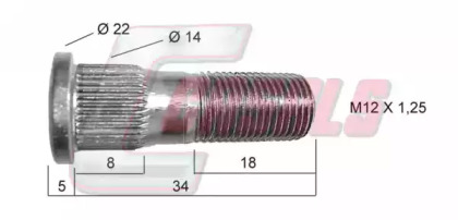 CASALS 21446