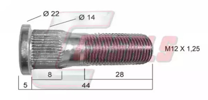 CASALS 21448