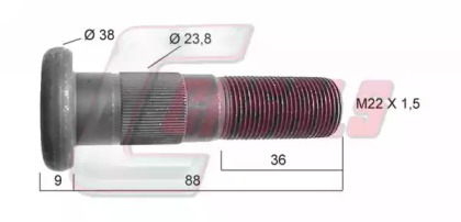 CASALS 21459