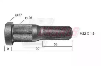 CASALS 21460