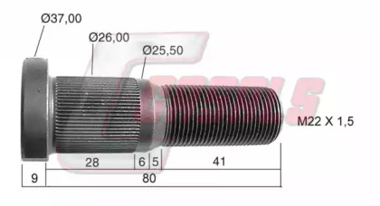 CASALS 21461