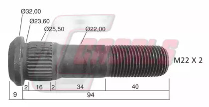 CASALS 21485