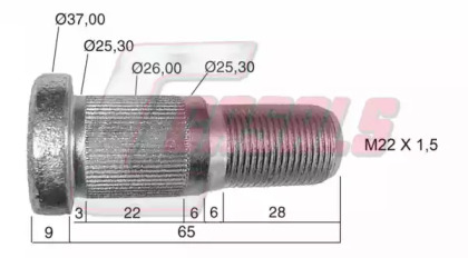 CASALS 21488