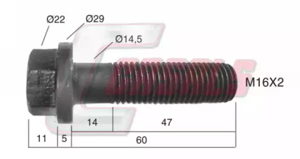 CASALS 21510